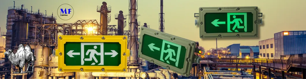 Battery Back Up Luminaries Atex LED Fireproof Exit Sign Emergency Light with IP65 Waterproof 10