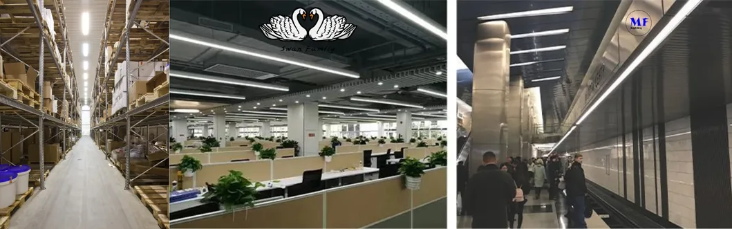 Luce lineare a binario LED Blu 2 pannelli Plastica Fruttivendolo Supermercato Magazzino Libreria Officina Stoccaggio Biciclette Ufficio Negozio di Abbigliamento 10
