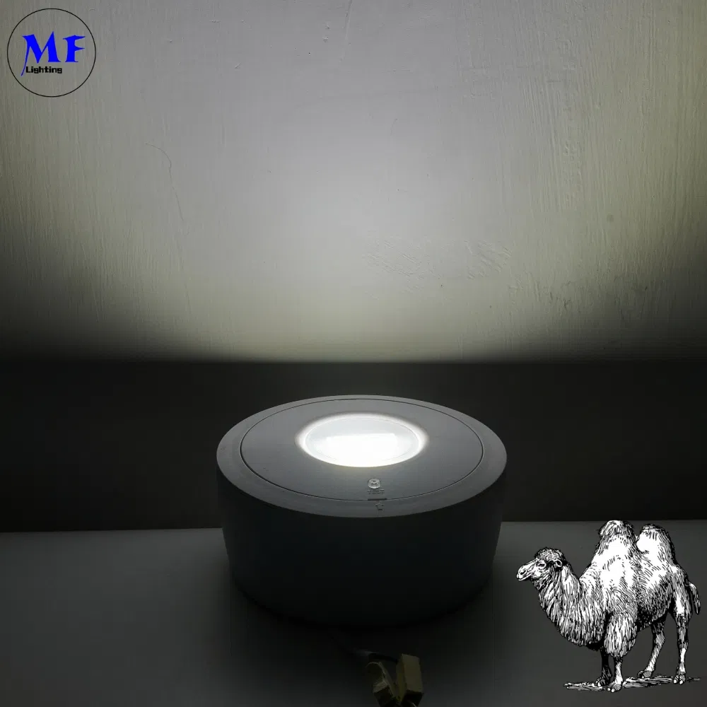 Panel Down Light LED Panic Emergency Escape Exit Sign Light IP65 Backup batteria ricaricabile Scuola pubblica Ospedale Bianco 3