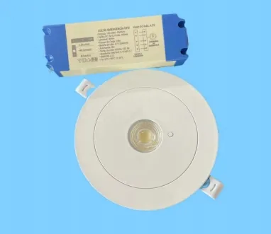 Panel Down Light LED Panic Emergency Escape Exit Sign Light IP65 Backup batteria ricaricabile Scuola pubblica Ospedale Bianco 5