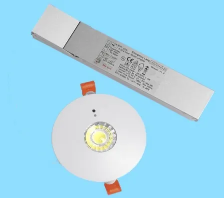 Panel Down Light LED Panic Emergency Escape Exit Sign Light IP65 Backup batteria ricaricabile Scuola pubblica Ospedale Bianco 10