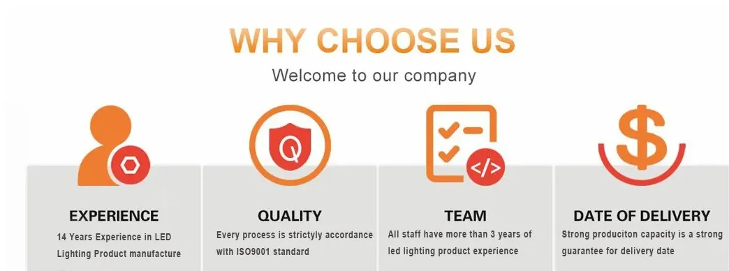 LED Logo Gobo Proiettore Luce UV ND Zoomable Esteso IP65 Ra97+ Centro Espositivo Contour 23