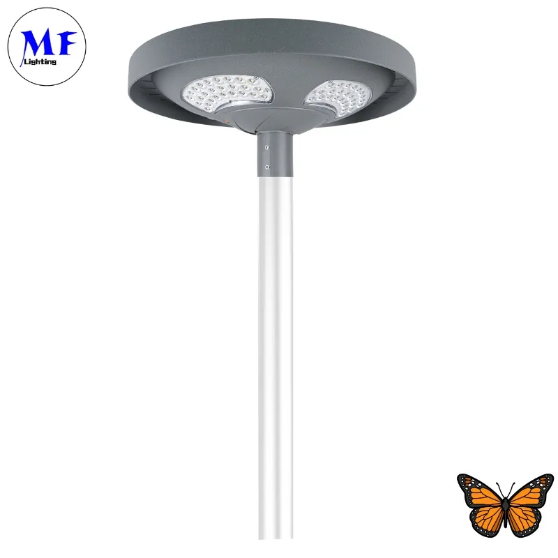 Luce solare da giardino a LED per strada, parete, impermeabile 40W IP65 Ik08, per parchi, sentieri, marciapiedi, scuole, cortili 0