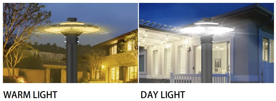 Luce da giardino a LED regolabile 150W IP65 incorporata impermeabile 130lm/W Rotonda Nera Cortile Parco Cortile Punto superiore 10
