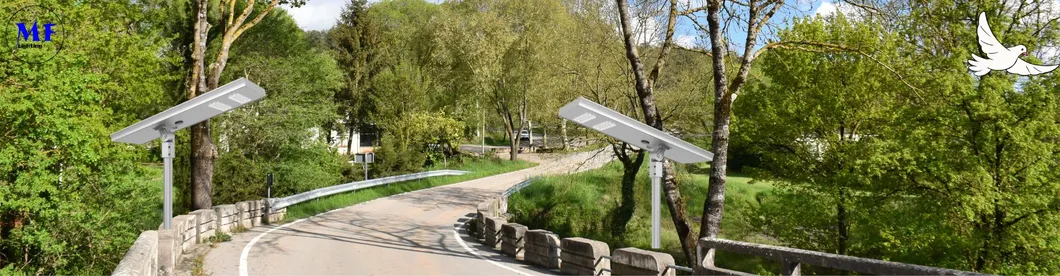 Lampada solare da giardino a LED con sensore di movimento Bianco Argentato 120W 100W 80W Alluminio IP66 Sentiero Villa Cortile 5