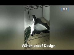 Luce di inondazione LED grandangolare IP66 da 75W 9200LM per esterni