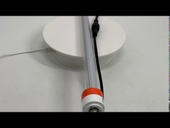 Tubi LED T8 dimmerabili a spettro completo da 24 Watt per allevamento di pollame