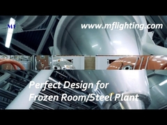 Apparecchio LED Tri Proof 600mm 25W Con Diffusore In Vetro Temperato