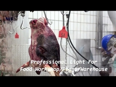 1200mm IP68 Impermeabile Tri Proof LED Catena Luminosa Staffa Montata