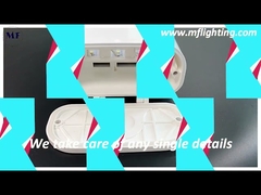 Luci lineari a LED Triproof IP65 dimmerabili per fabbrica alimentare