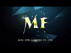 tri soffitto delle luci della prova di 20W 40W 60W 2ft 4ft 5ft LED/luci strette montate d'attaccatura del vapore