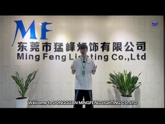 Ming Feng Lighting CO., srl