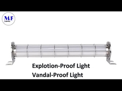 luce protetta contro le esplosioni principale