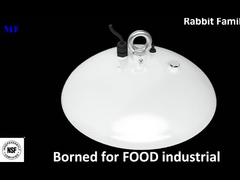 alta illuminazione principale della baia