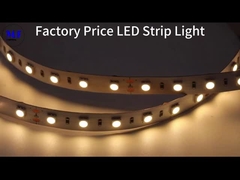 Striscia LED RGB RGBW IP20 IP65 IP68 7.2W-28.8W LED 5050