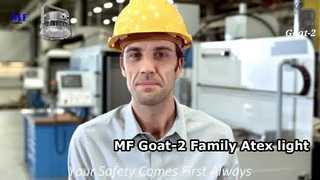 Video luminoso Atex della famiglia MF Goat-2
