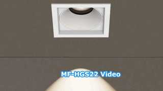 Video MF-HGS22