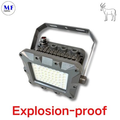 IP66 50W 75W 100W 150W 200W 240W 300W 350W 400W EATON Illuminazione antideflagrante per miniere offshore Zona antideflagrante LED Illuminazione antideflagrante ATEX