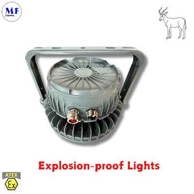 IP66 IK08 5 anni di garanzia Vari modi di installazione Ra>80 ATEX certificato in alluminio a colata a prova di esplosione Highbay Ligh