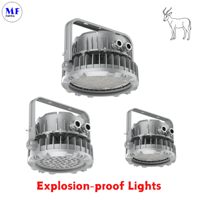 Prezzo di fabbrica 400W Luce a prova di esplosione IECEx ATEX Fusione a stampa in alluminio IP66 IK08 Angolo di fascio opzionale Gas di olio Pericolo chimico Industria Luce a prova di esplosione LED
