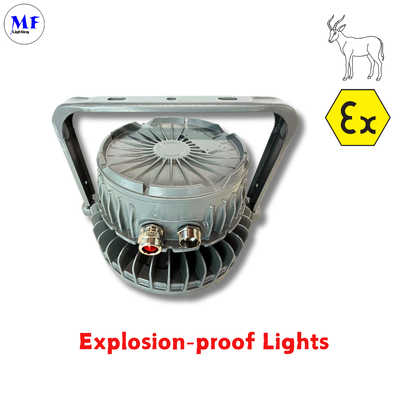Lampada LED Highbay antideflagrante OEM ODM IP66 IK08 Atex 140LM/W IP66 IK08 50W 100W 150W 200W 300W 400W con lente in vetro temperato per zone pericolose petrolifere, del gas, chimiche e minerarie