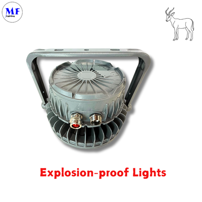 Prezzo di fabbrica IP66 IK08 LED certificato ATEX antideflagrante High Bay Light 5 anni di garanzia -40°C~+55°C Temperatura di lavoro Luce antideflagrante per raffineria di petrolio impianto chimico
